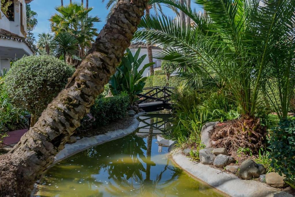 Beachfront Marbella